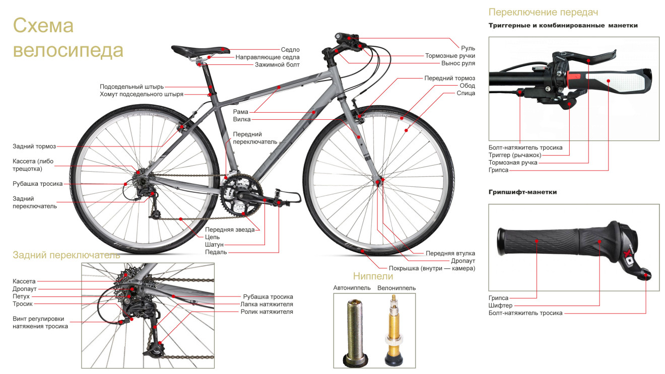 Устройство велосипеда, базовые элементы, отличия между моделями