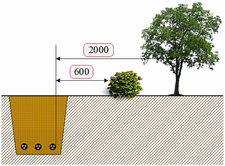 Сколько от забора можно сажать деревья. Посадка деревьев на участке нормы. Схема посадки деревьев. Плодовые деревья от забора соседа. Нормы прокладки газопровода на участке.
